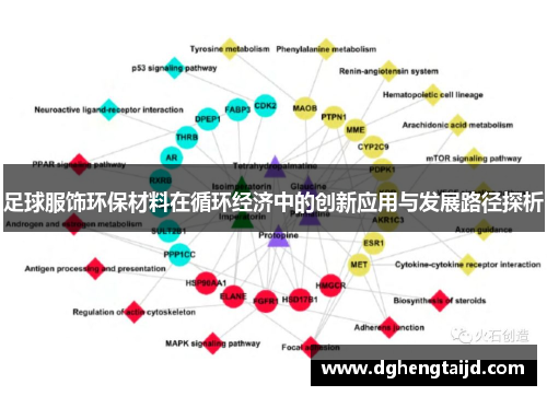 足球服饰环保材料在循环经济中的创新应用与发展路径探析