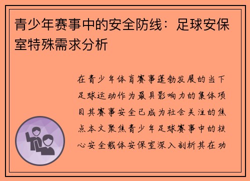 青少年赛事中的安全防线：足球安保室特殊需求分析